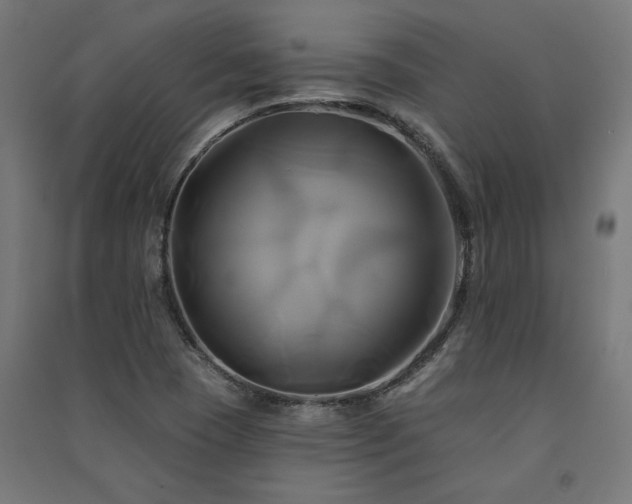 X0000091591409200708201220