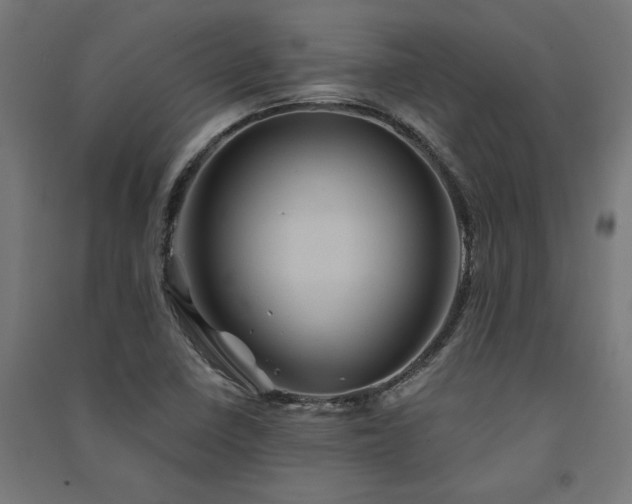 X0000091591410200708201220