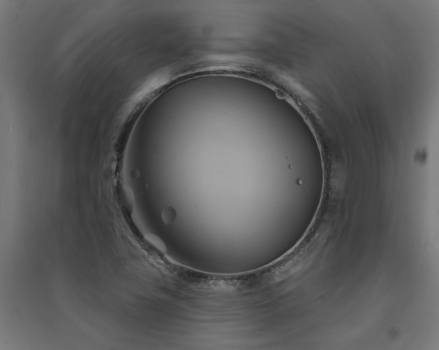 X0000091591411200708201220