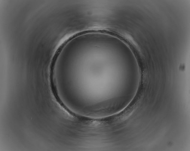 X0000091591412200708201220