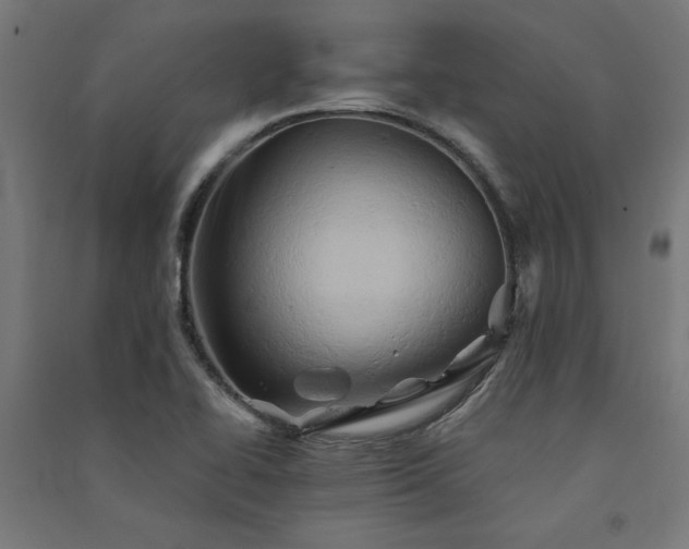 X0000091591414200708201220