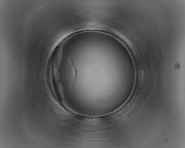 X0000091591415200708201220