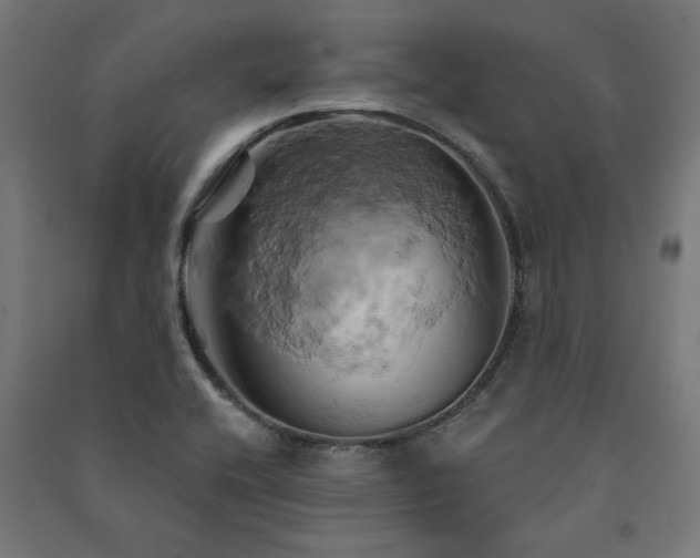 X0000091591416200708201220