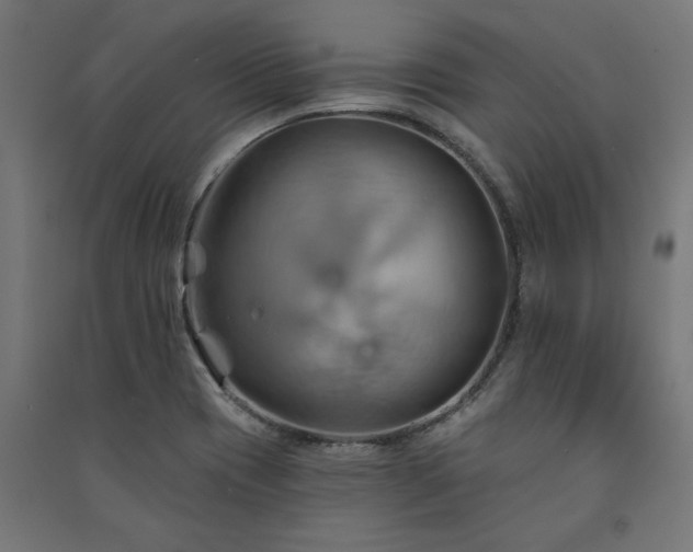 X0000091591417200708201220