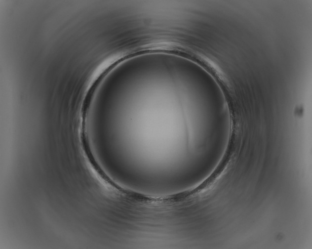 X0000091591418200708201220