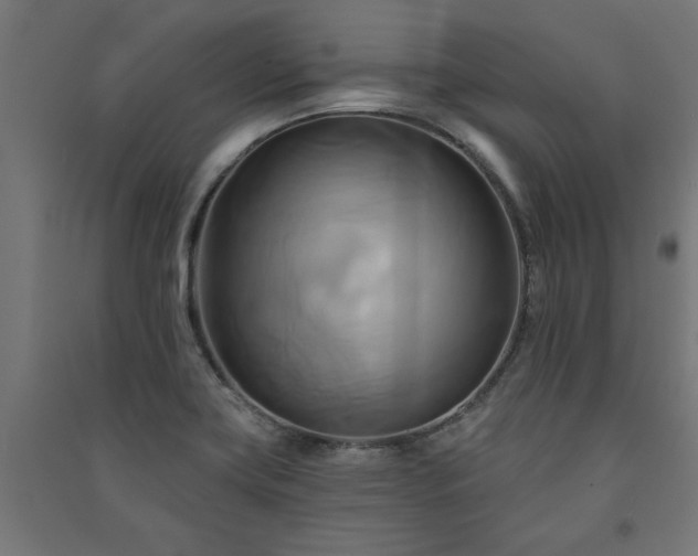X0000091591419200708201220