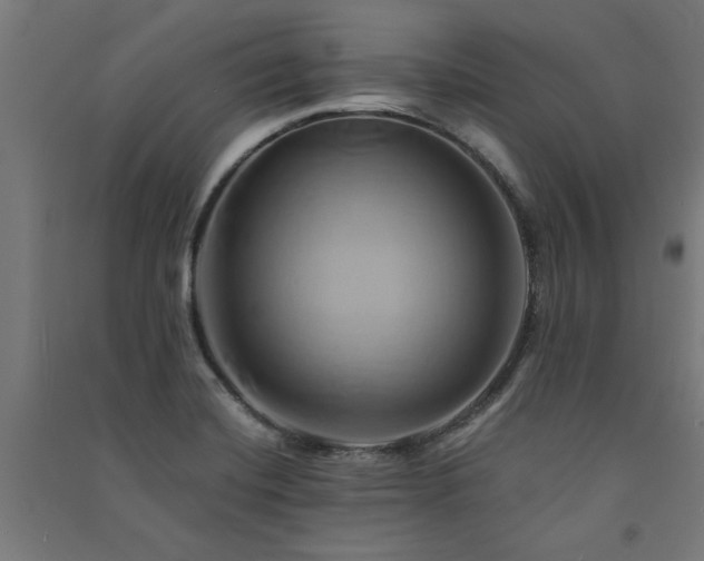 X0000091591420200708201220