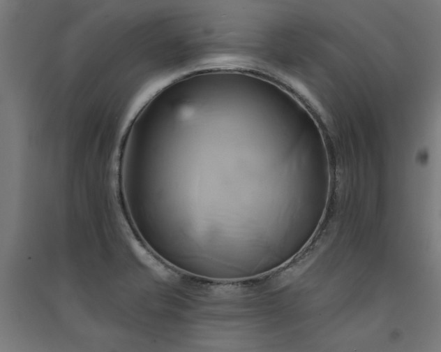 X0000091591421200708201220