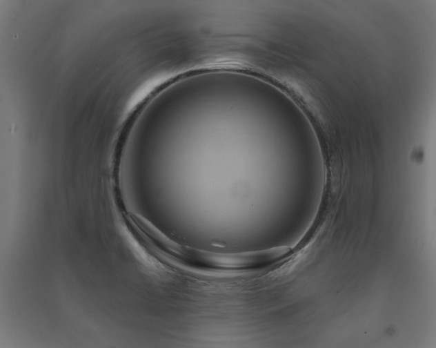 X0000091591422200708201220