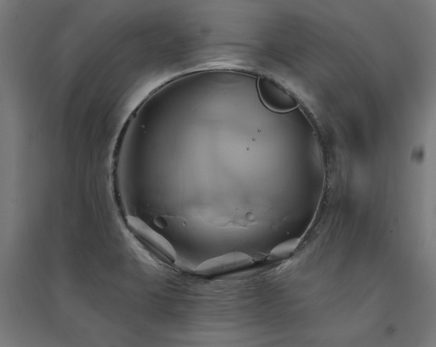 X0000091591423200708201220