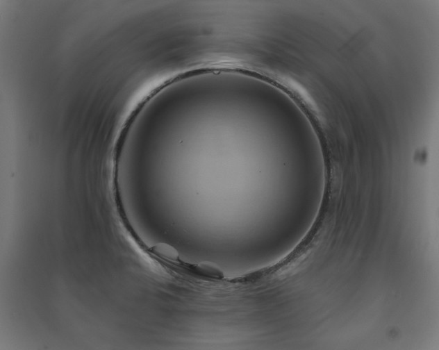 X0000091591424200708201220