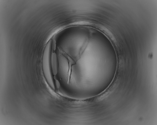 X0000091591425200708201220