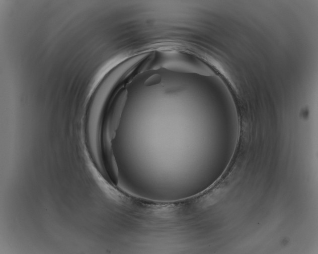 X0000091591426200708201220