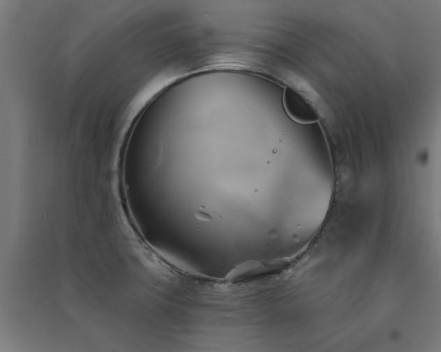 X0000091591427200708201220