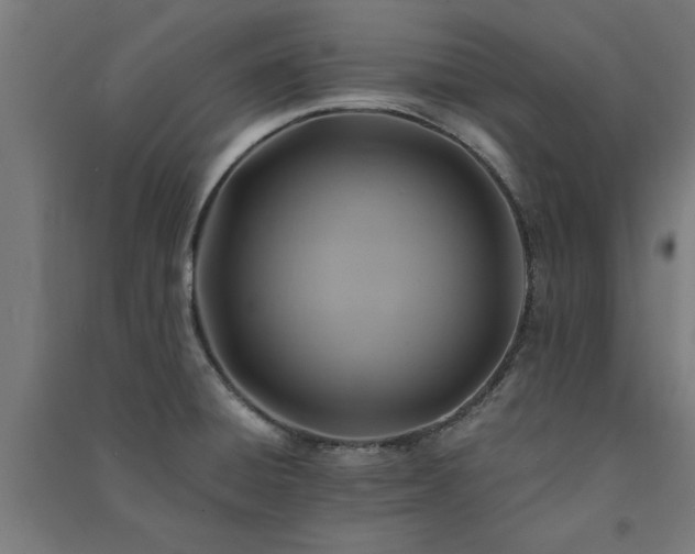 X0000091591428200708201220