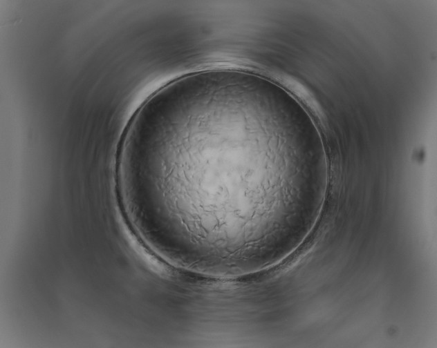 X0000091591431200708201220