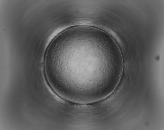X0000091591432200708201220
