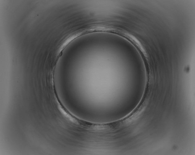 X0000091591433200708201220
