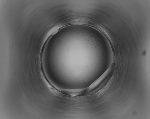X0000091591434200708201220