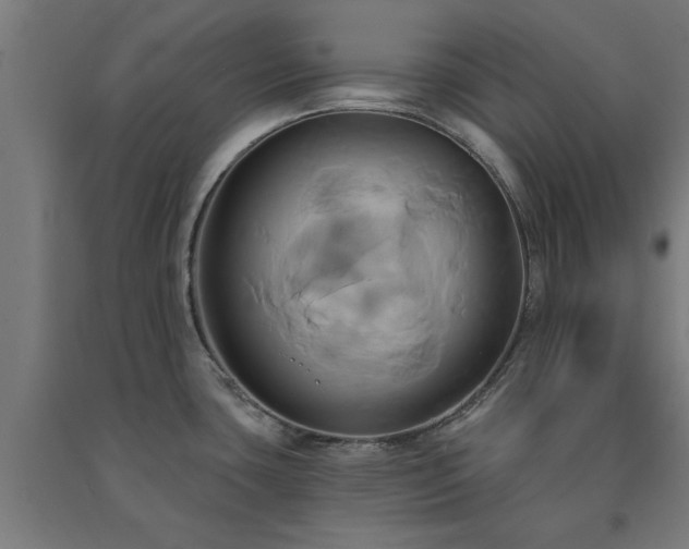 X0000091591435200708201220