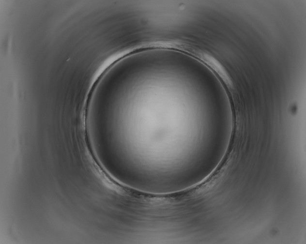 X0000091591436200708201220