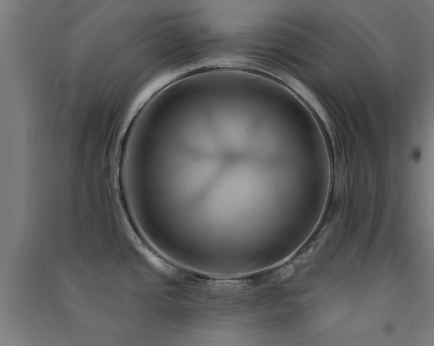 X0000091591437200708201220