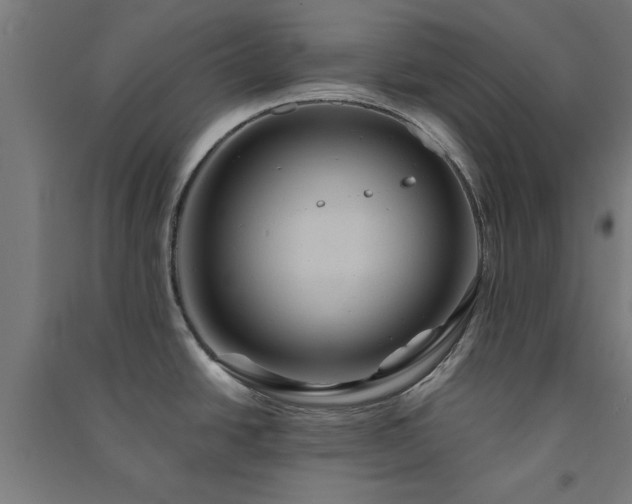 X0000091591438200708201220