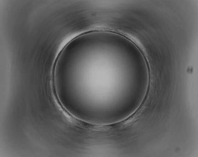 X0000091591440200708201220