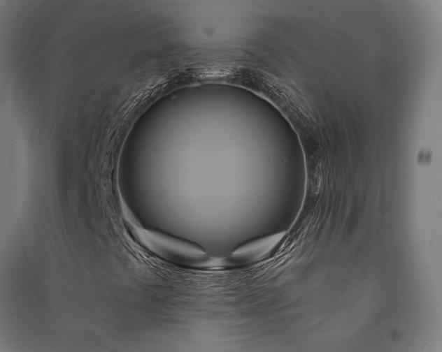 X0000091591441200708201219