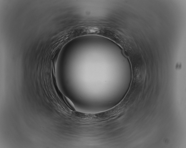 X0000091591442200708201219