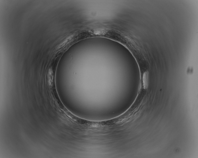 X0000091591443200708201219