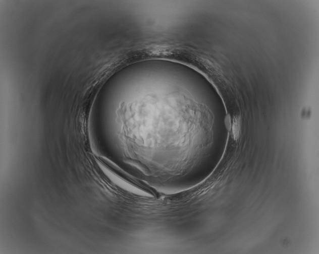 X0000091591444200708201219