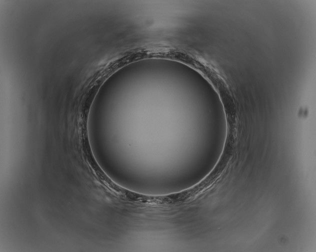 X0000091591445200708201219