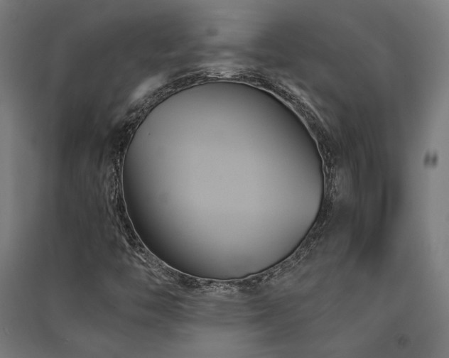 X0000091591446200708201219