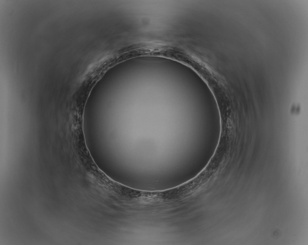X0000091591447200708201219