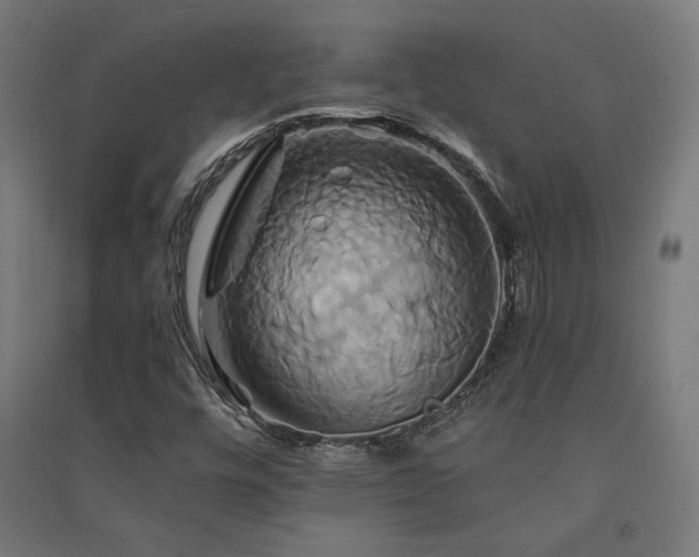 X0000091591448200708201219