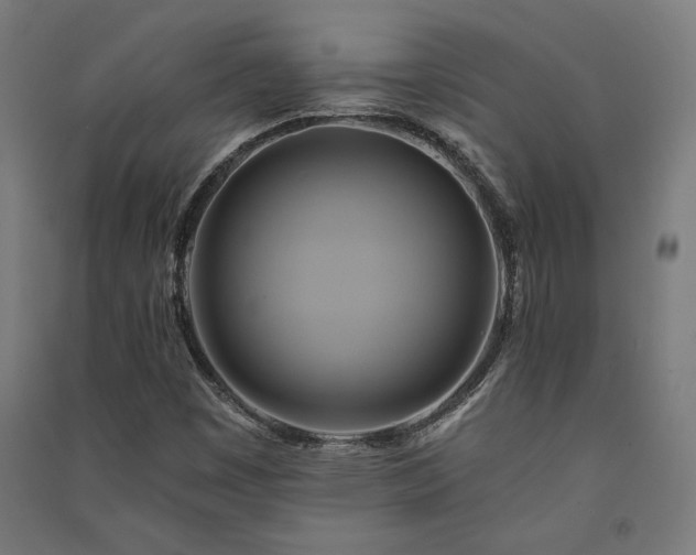 X0000091591449200708201219