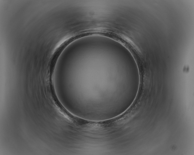 X0000091591450200708201219