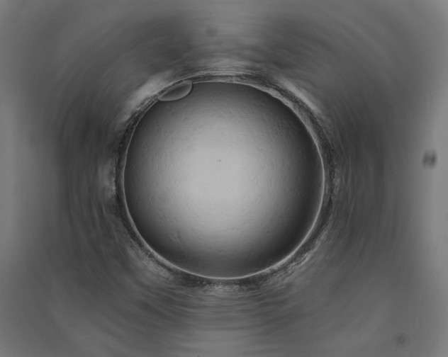X0000091591451200708201219