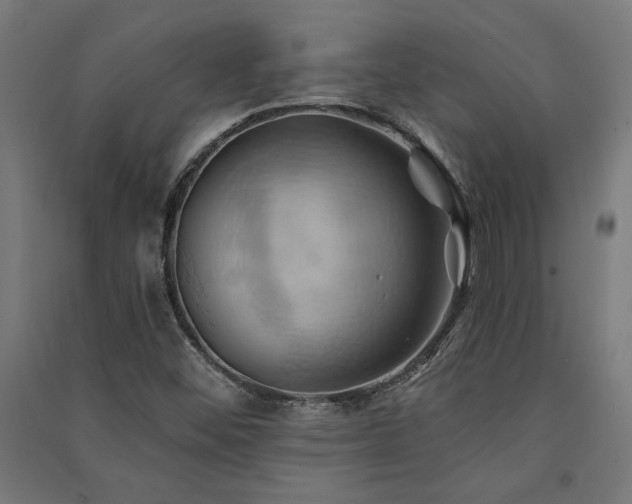 X0000091591452200708201219
