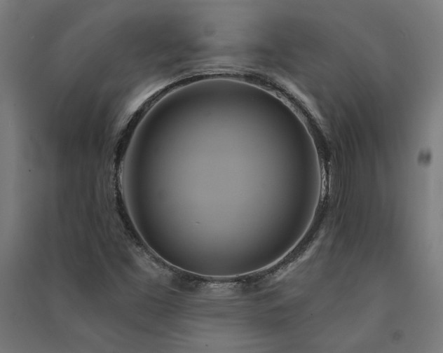 X0000091591453200708201219