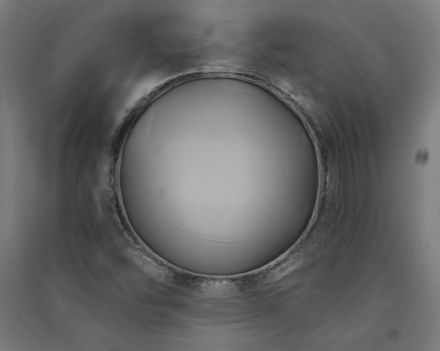 X0000091591454200708201219