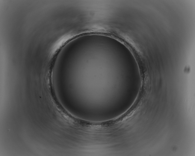 X0000091591455200708201219