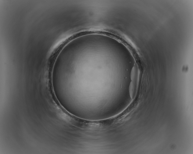 X0000091591456200708201219