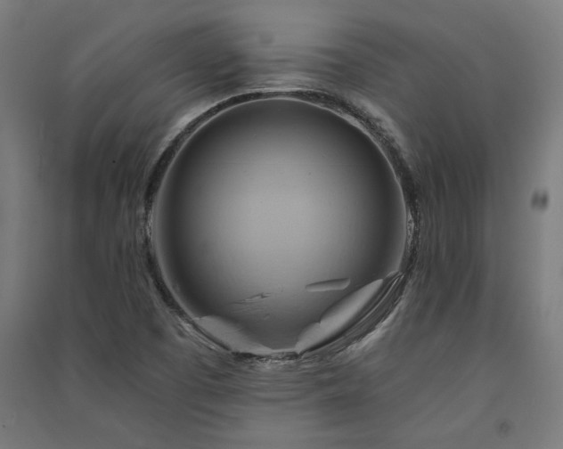 X0000091591457200708201219