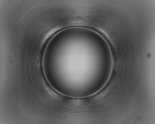 X0000091591458200708201219