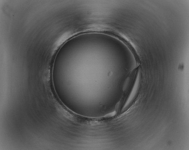 X0000091591459200708201219