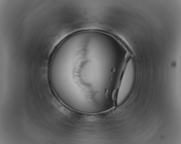 X0000091591460200708201219