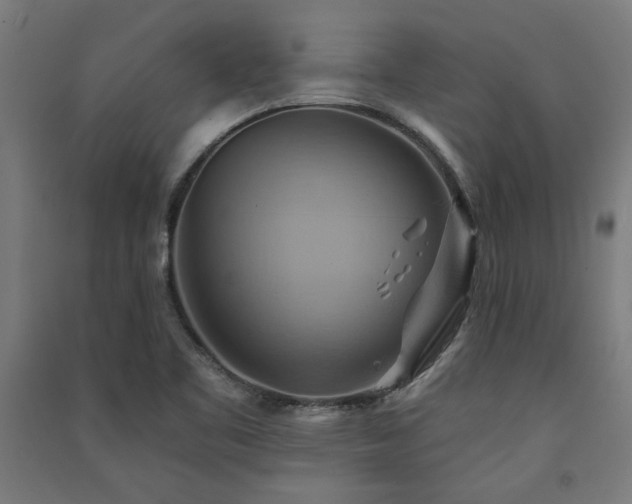 X0000091591461200708201219