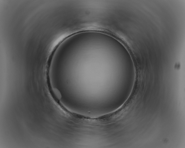 X0000091591463200708201219